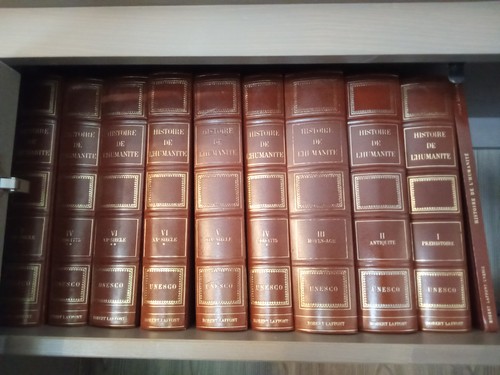 Histoire developpement - histoire, du