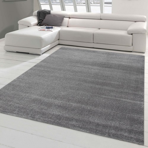 Tapis moderne pour salon - moderne,