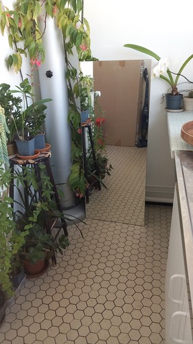 Miroir lärbro ikea 48x120 - miroir, lÄrbro,