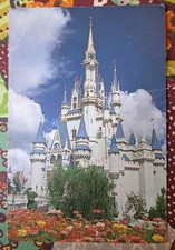 Cpa USA Walt Disney World