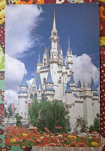 Cpa usa walt disney world - disney,