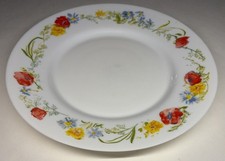 Lot 11 De 5 Grandes Assiettes