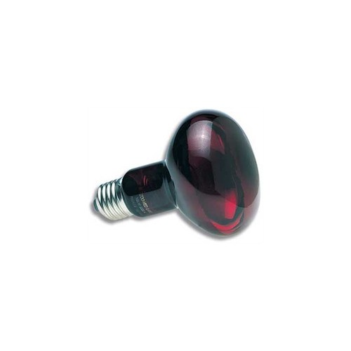 Zoo med lampe spot - 50, w