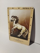 Bella Sara Danish Wise Warriors Tai