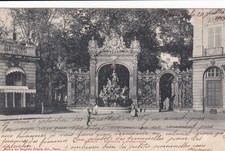 🦬Carte postale - Postcard -