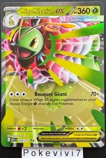 Carte Pokemon MEGA-MEGANIUM