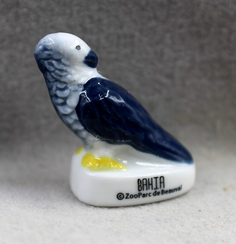 Fève oiseau bahia - fève,