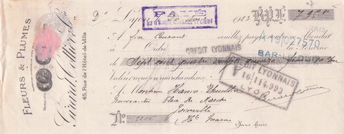 Lyon plumassier girard - 69,