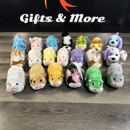 Zhu pets - zhu,