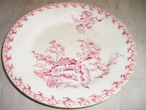 Assiette porcelaine opaque - assiette,