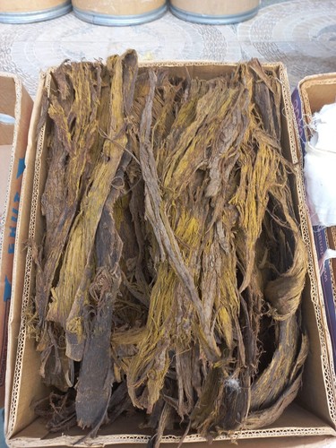 Miswak naturel - naturel, (siwak)