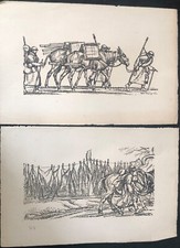 TAQUOY MAURICE " LES ANES