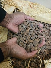 fèves de caco bio et crues de qualité(origine:Ouganda) au kg