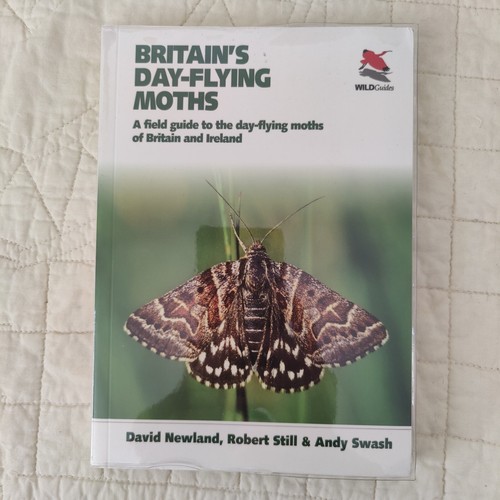 Britain day flying moths - day-flying,