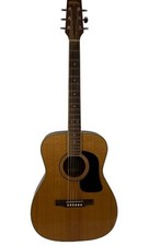 Washburn F-10S Acoustic Guitar