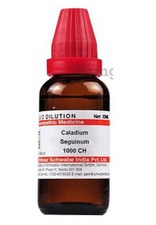 Dr Willmar Caladium Seguinum 1000 CH Homéopathique 30ml