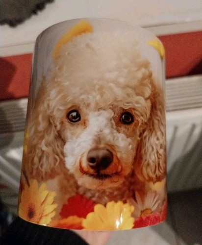Mug caniche chien animaux - mug,