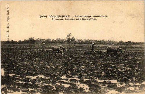Cpa vietnam labourage - cpa,