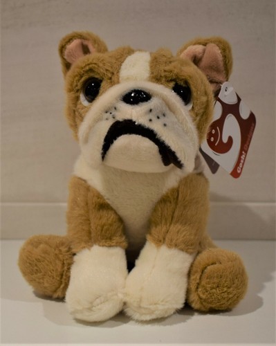 Grand mignon bouledogue - grand,