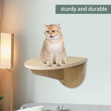 Étagères Murales pour Chat