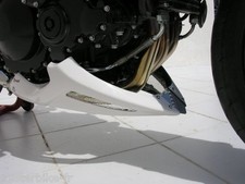 Sabot Moteur Ermax TRIUMPH SPEED TRIPLE 1050 2005/2007