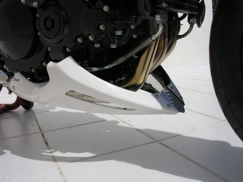 Sabot moteur ermax triumph - sabot,