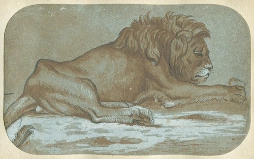 Xviiième lion couché - lion,