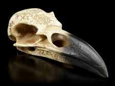 Alchemy Crâne De Corbeau - Omega - Décor Gothique Crâne De Corbeau Autel