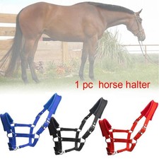 Doux épaissir Poney épi