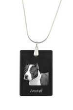 American Staffordshire Terrier