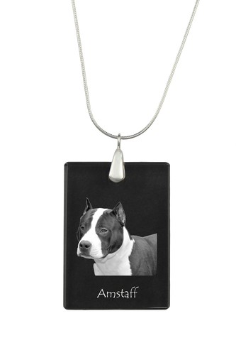 American staffordshire terrier - american,