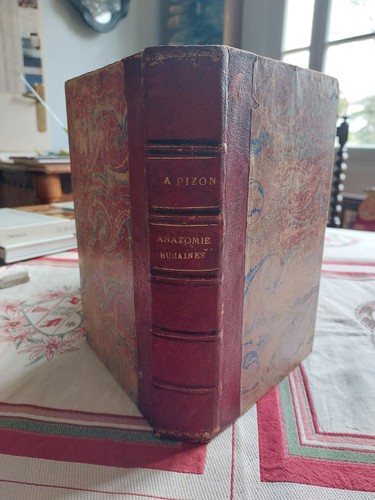 Anatomie physiologies - et,