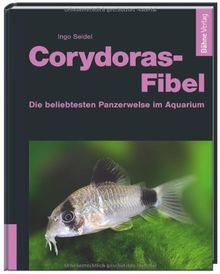 Corydoras fibel die - -,