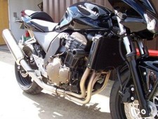 Ecopes de radiateur R&G RACING