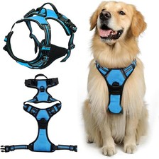 Harnais Chien Anti-Traction No