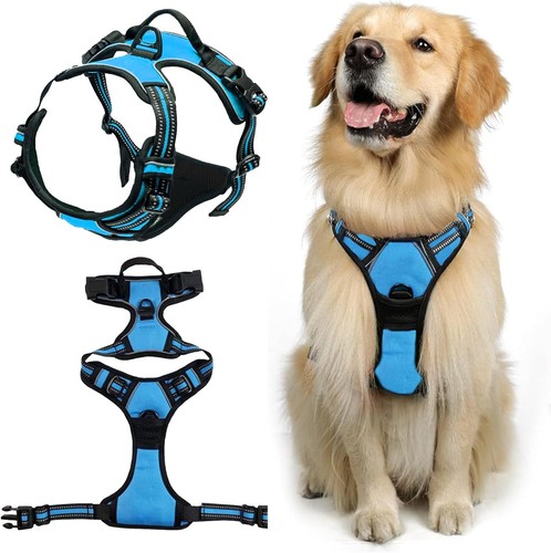 Harnais chien anti traction - chien, anti-traction