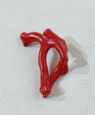 Branche de corail rouge