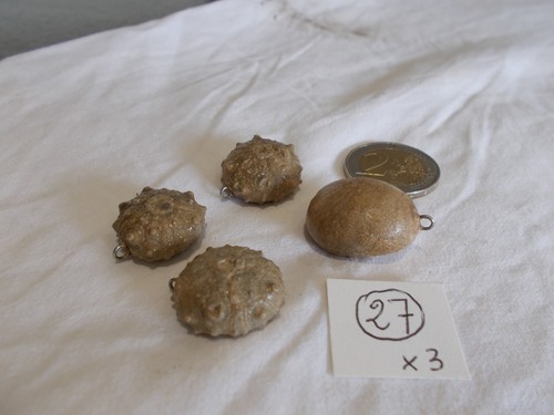 Fossile oursins prets - fossile.oursins.prets, a