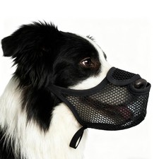 Muselière pour Chien De