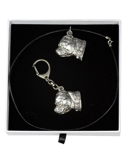 Staffy set un chien - staffy,