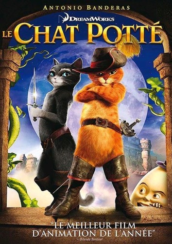 Chat potté dvd - le,
