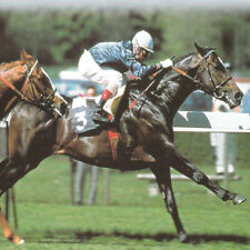 METHODE de TURF : CASH GENERATOR de Rodney, méthode rare (Courses, PMU)