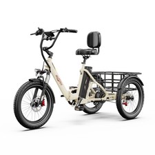 Onesport OT30 Pro Tricycle