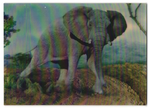 Carte postale elephant - postale,