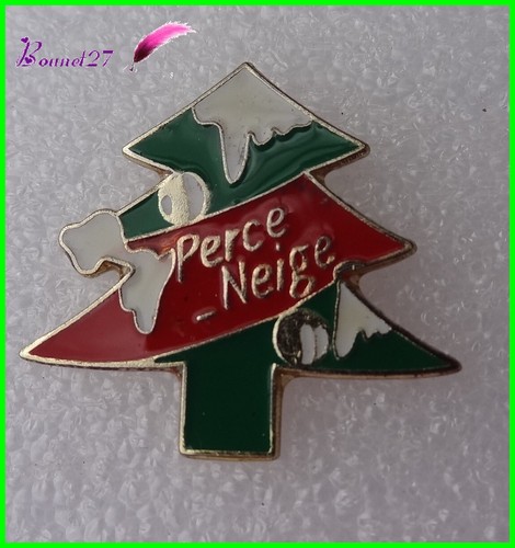 Pin petit sapin arbre de - petit,