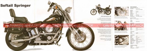 Harley davidson fxsts - harley,