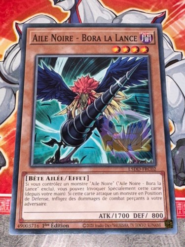 Carte aile noire - carte,