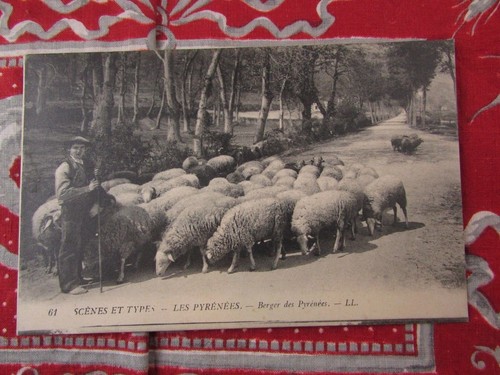 Cpa berger des pyrenees - berger,