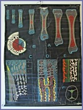 affiche scolaire planche