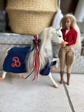 Ensemble équitation cheval